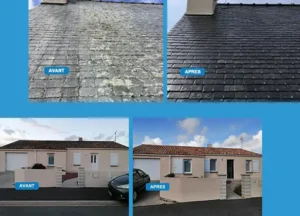 Nettoyage et démoussage de toiture en Maine-et-Loire