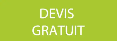 Demandez votre devis gratuit pour votre nettoyage de toit ou terrasse à Angers
